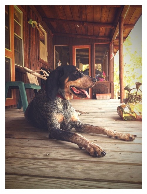 1886f4a9ba2860f8186699286226ed48