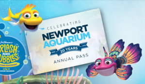 Screen Shot 2018-12-31 at 1.15.54 PM