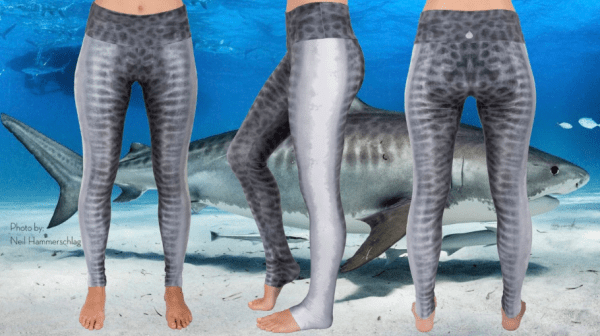 Screen Shot 2018-12-31 at 11.59.21 AM